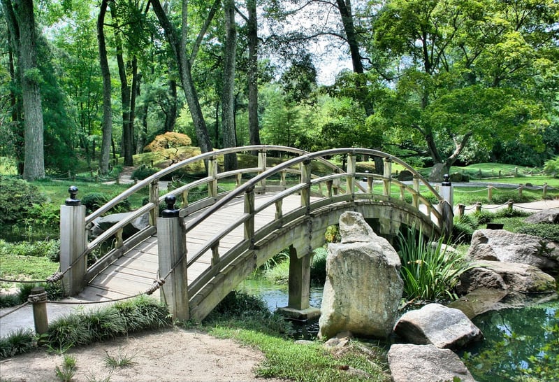 Designing a Sensory Garden